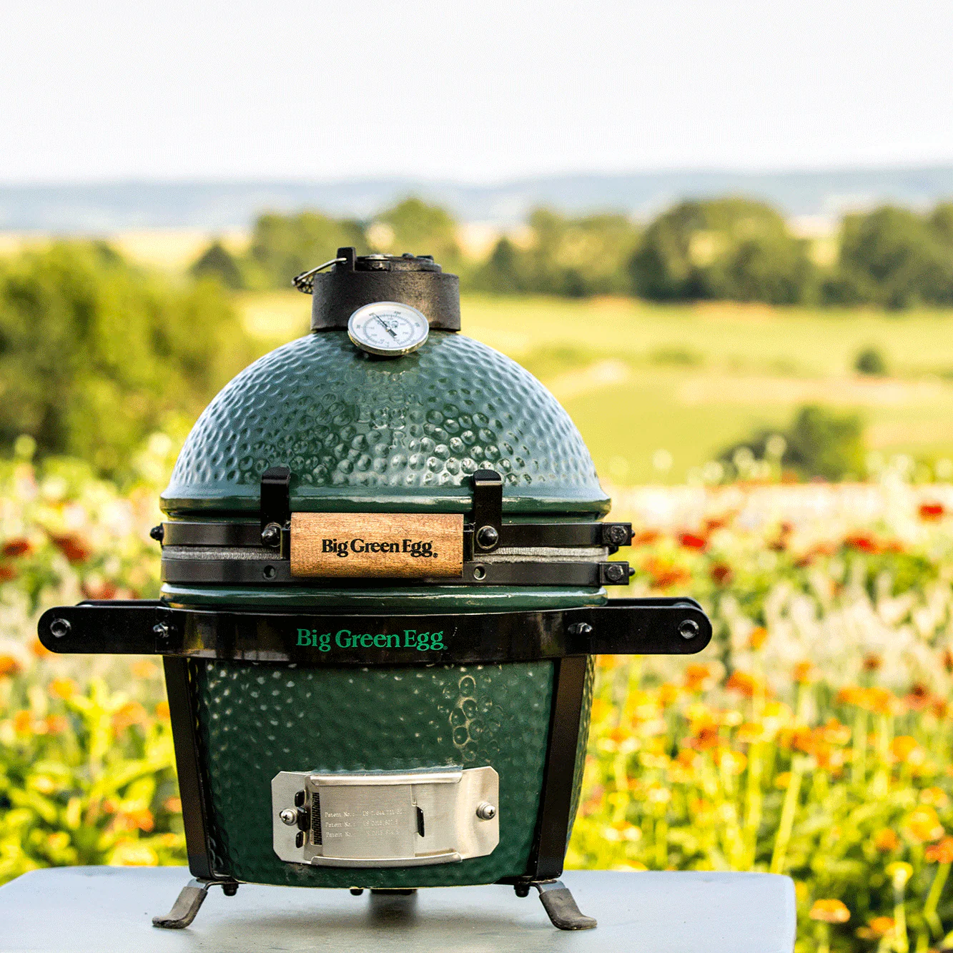 Mini Big Green Egg - Image 3