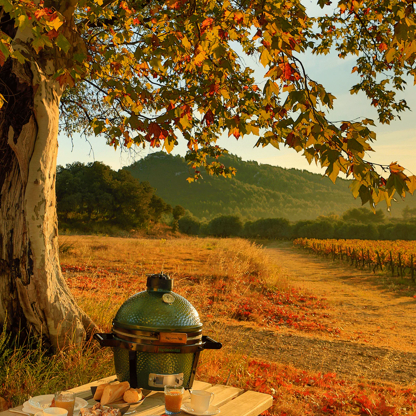 MiniMax Big Green Egg - Image 4